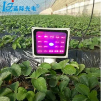 LD激光植物生长补光灯658nm450nm红蓝激光植物生长灯 激光补光灯